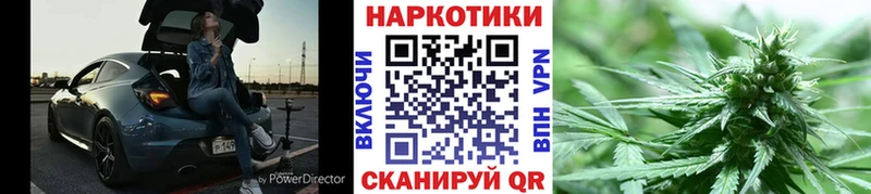 Купить Ужур Каннабис СК МЕТАДОН Гашиш Псилоцибиновые грибы