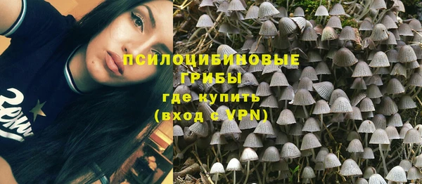 2c-b Абинск