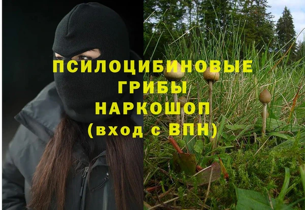 метамфетамин Алексеевка