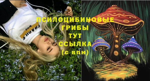 метамфетамин Алексеевка