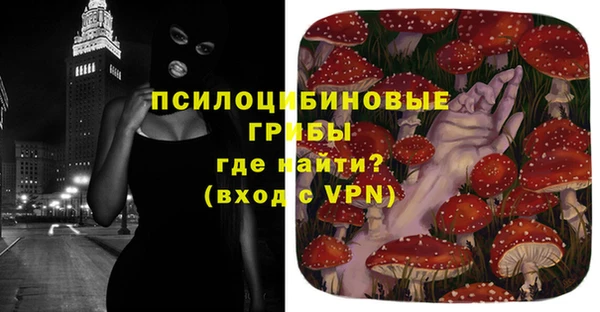 apvp Алзамай